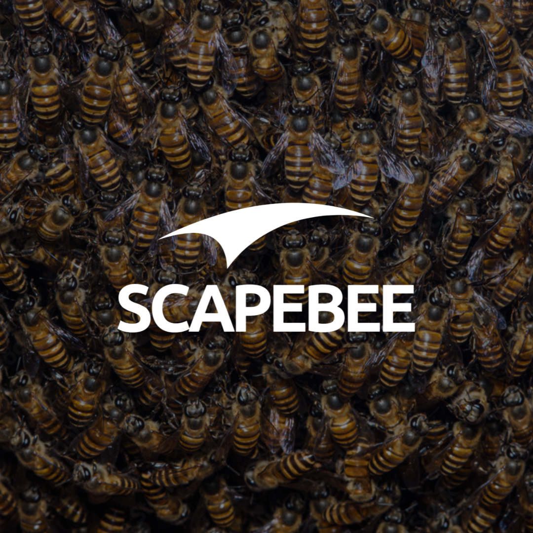 SCAPEBEE